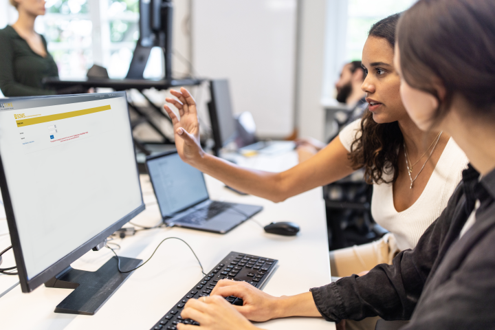 Two professionals working on a computer.