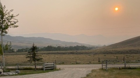 A smoky photo of a landscape, taken by Emily Brigham. A hazy orange sun shines through the smoke.